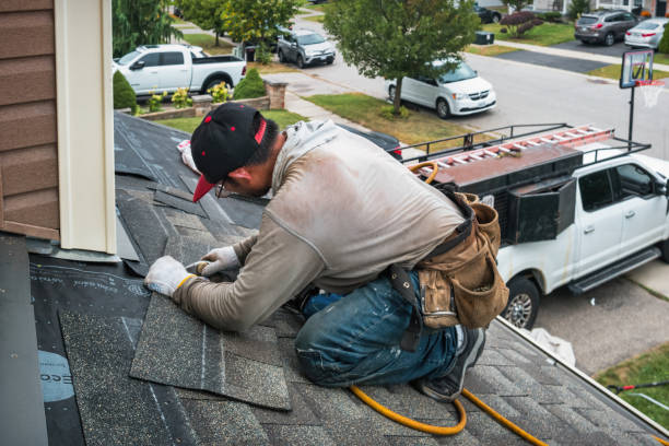 Professional Gutter Repair And Installation technician working in Rosburg, WA